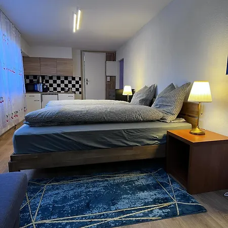 - Park View - For 2 Guests Apartament Thun